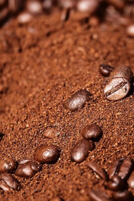 2, 5, 10- LB KENIA FRESH ROASTED COFFEE WHOLE BEAN, GROUND - ARABICA