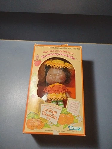 Vintage New In Box Rare Strawberry Shortcake Orange Blossom Doll 1980! Nice!