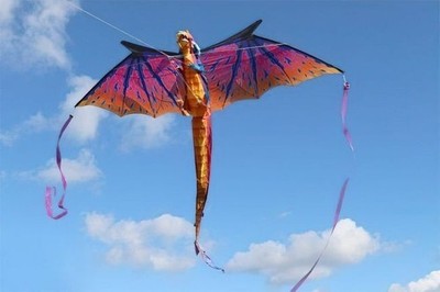 Einleiner 3 D   Drachen DRACHEN   Riesig  307 cm Spannweite