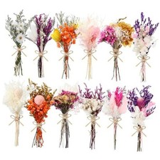 10//24 Pack Dried Flowers for Vase Various Mini Bouquet Flowers Blooming1 12