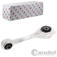 NK Motorlager Vorne Hinten Unten Passend FÜR Renault Clio Kangoo Megane ScÉNic