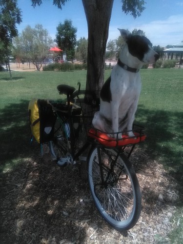 Origin8 Rush Messenger Front Bicycle Basket Rack Axle Mounted Black for ...