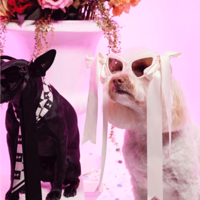 NEW! Karen Walker Bow Wow ivory sunglasses | eBay display picture 2