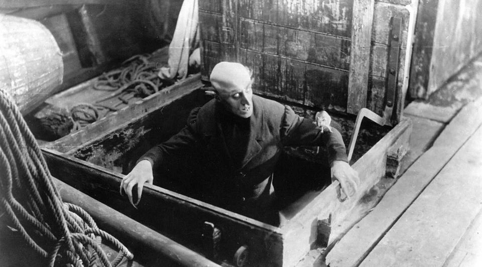 Nosferatu A Symphony of Horror 1922 Silent Movie Foto 4 de 4