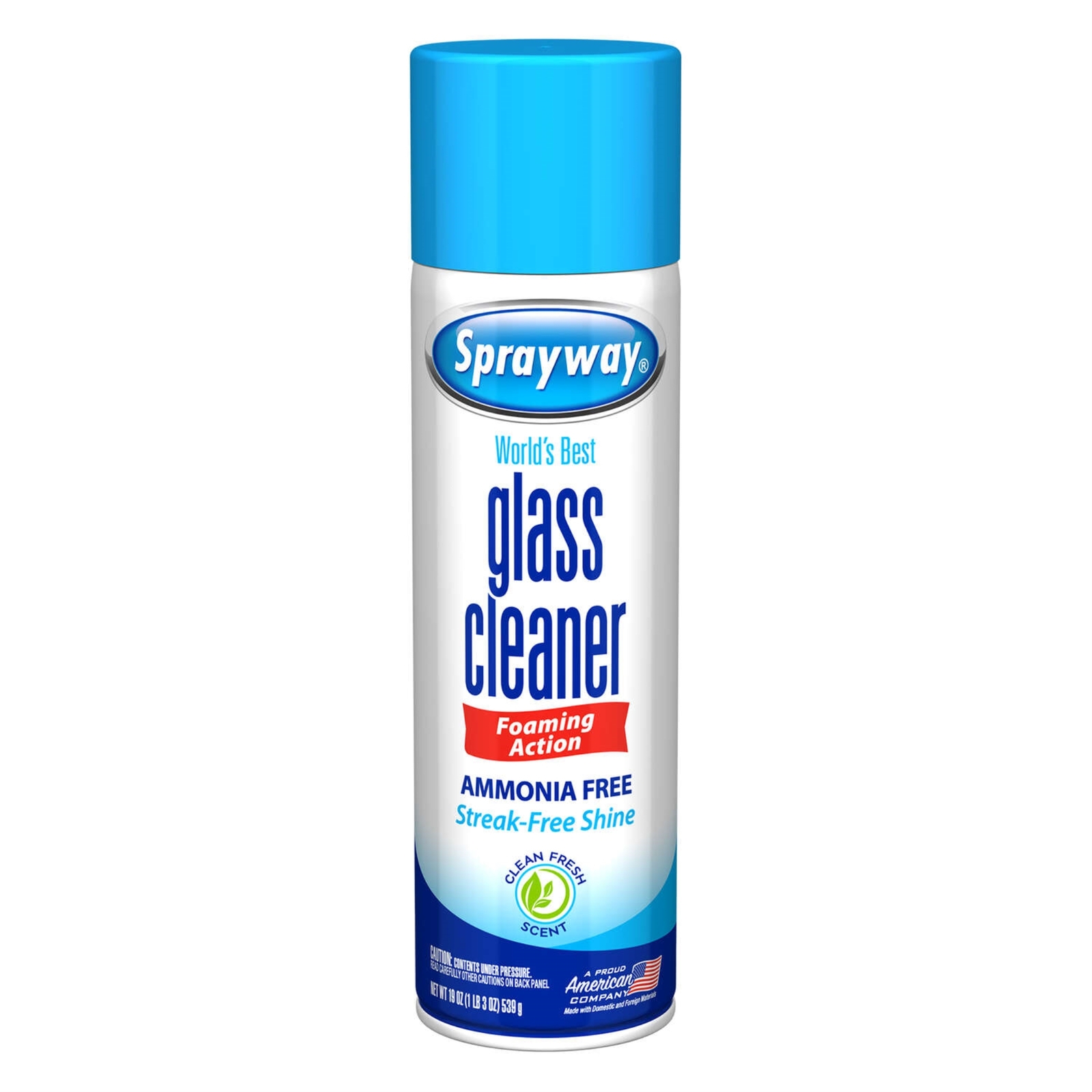 Sprayway (SW050R) Glass Cleaner Aerosol Spray, 19 oz (Packaging May
