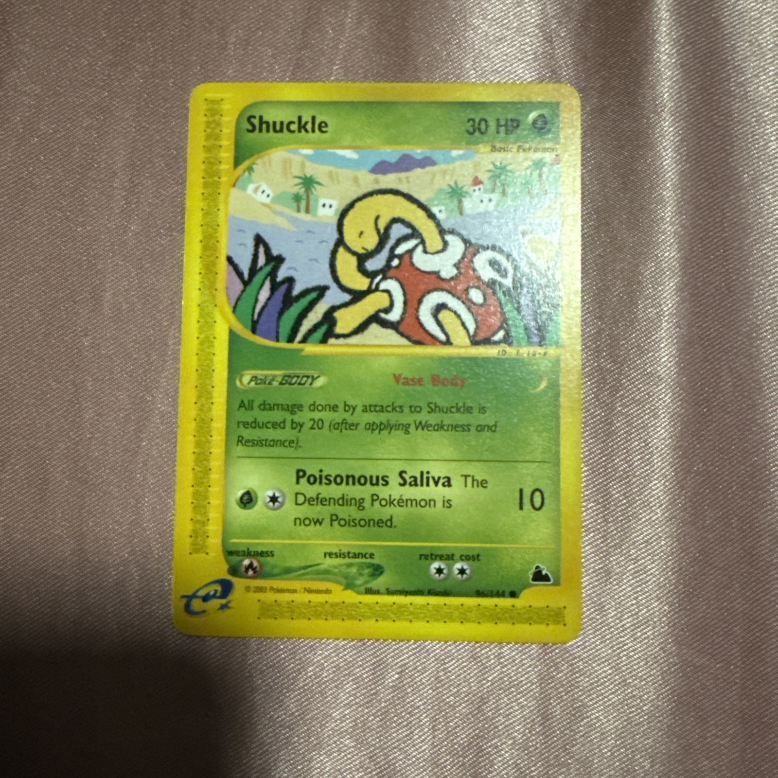 Shuckle 96/144 Skyridge Regular Common NM