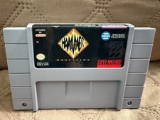 Hammerlock Wrestling (Super Nintendo Entertainment System, 1994)