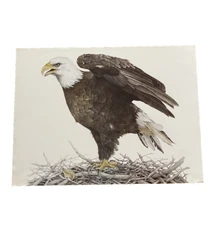 Jean Cassady 1980's Bald Eagle Lithograph Poster 23"x17" Vintage