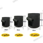 Bild 2 von 7