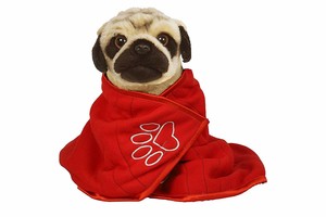 extra warm dog blanket