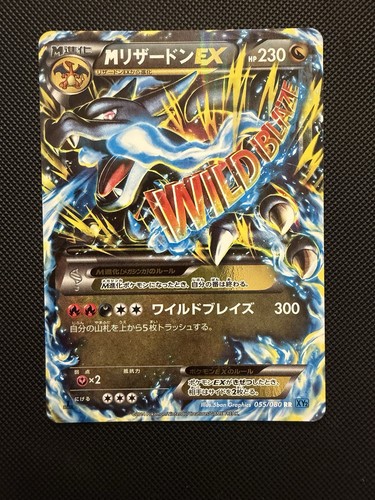 M Charizard EX XY2 1st Edition Holofoil 055/080 XY2: Wild Blaze Pokemon NM