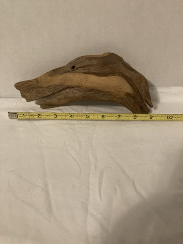 Driftwood That Looks Like A Goose Head  - Picture 2 of 2
