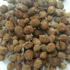 Gorakhmundi Seeds Sphaeranthus Indicus Linn Indian Raw  Whole Herbs