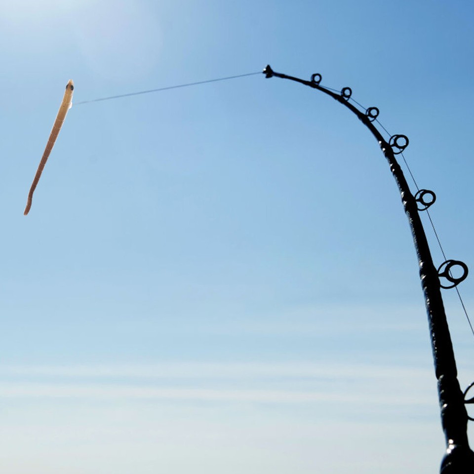 Fishing Lures Bait Simulation Lifelike Worms Trick Toy Saltwater eBay