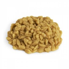 Display Fake Food Prop Sunflower Seeds New