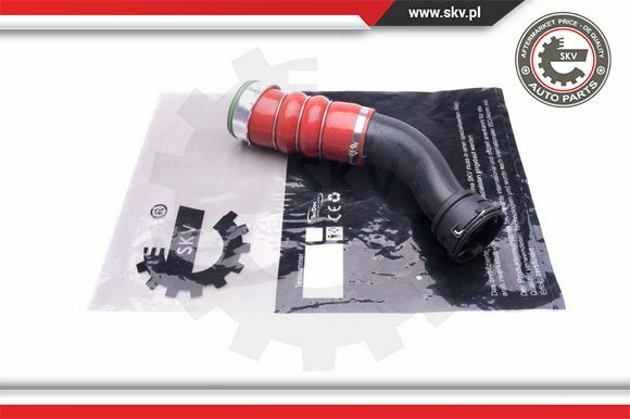 Esen SKV Ladeluftschlauch FüR BMW X5 E70 Xdrive35I X6 E71 E72 43SKV327-image
