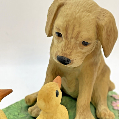 Labrador Retriever w Ducklings PRINCETON GALLERY First Encounters NOSE to NOSE