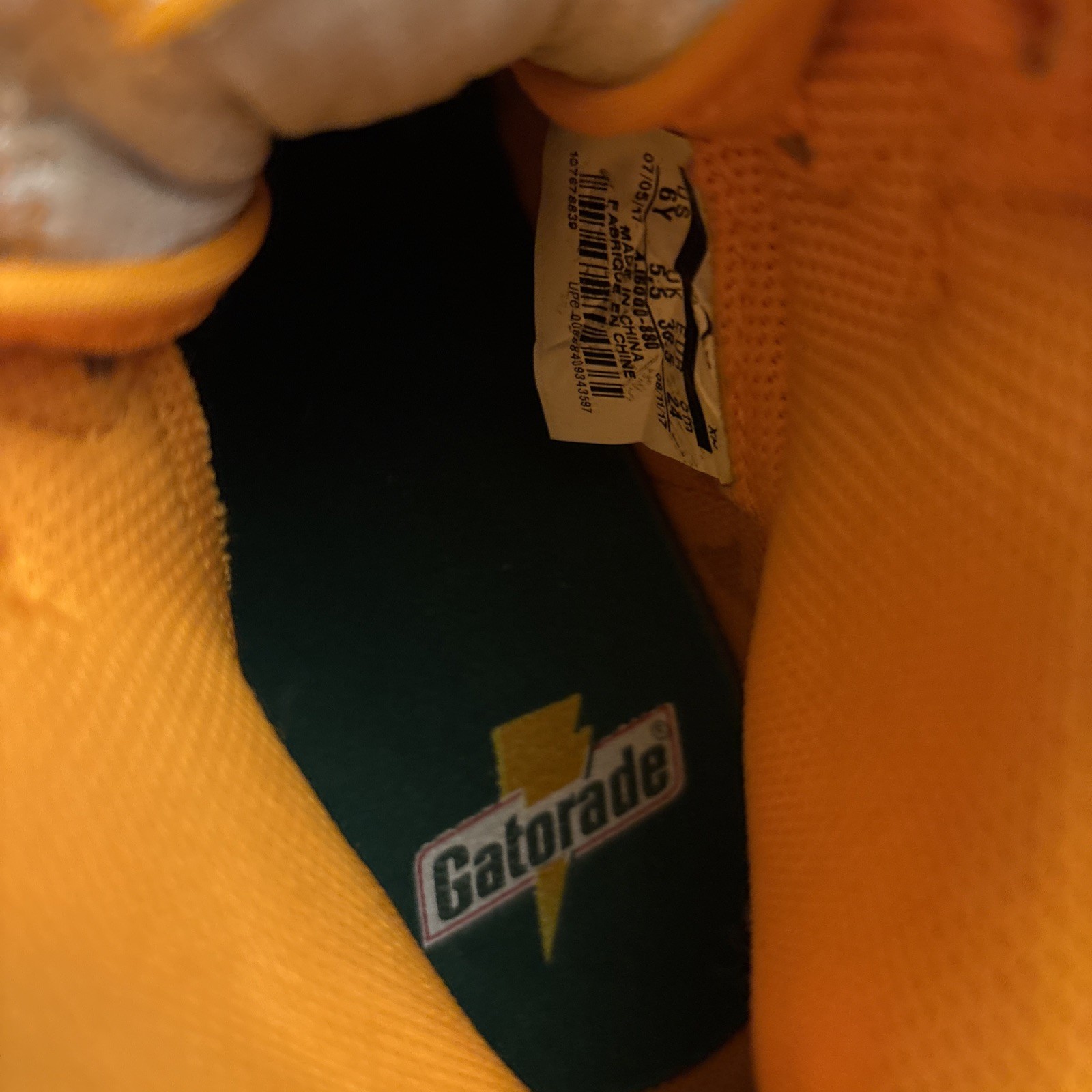 Foto 6 di 24