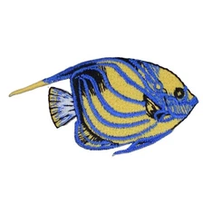 Small Blue-Ring Angelfish Applique Patch - Ocean Tropical Fish Snorkeling Badge