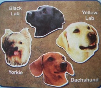 Dog Breed Car Magnet