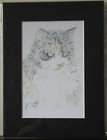 Bild 6 von 9
