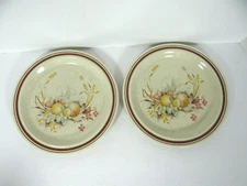 Royal Doulton Lambethware Harvest Time Salad Plates Set of 2  England LS 1039