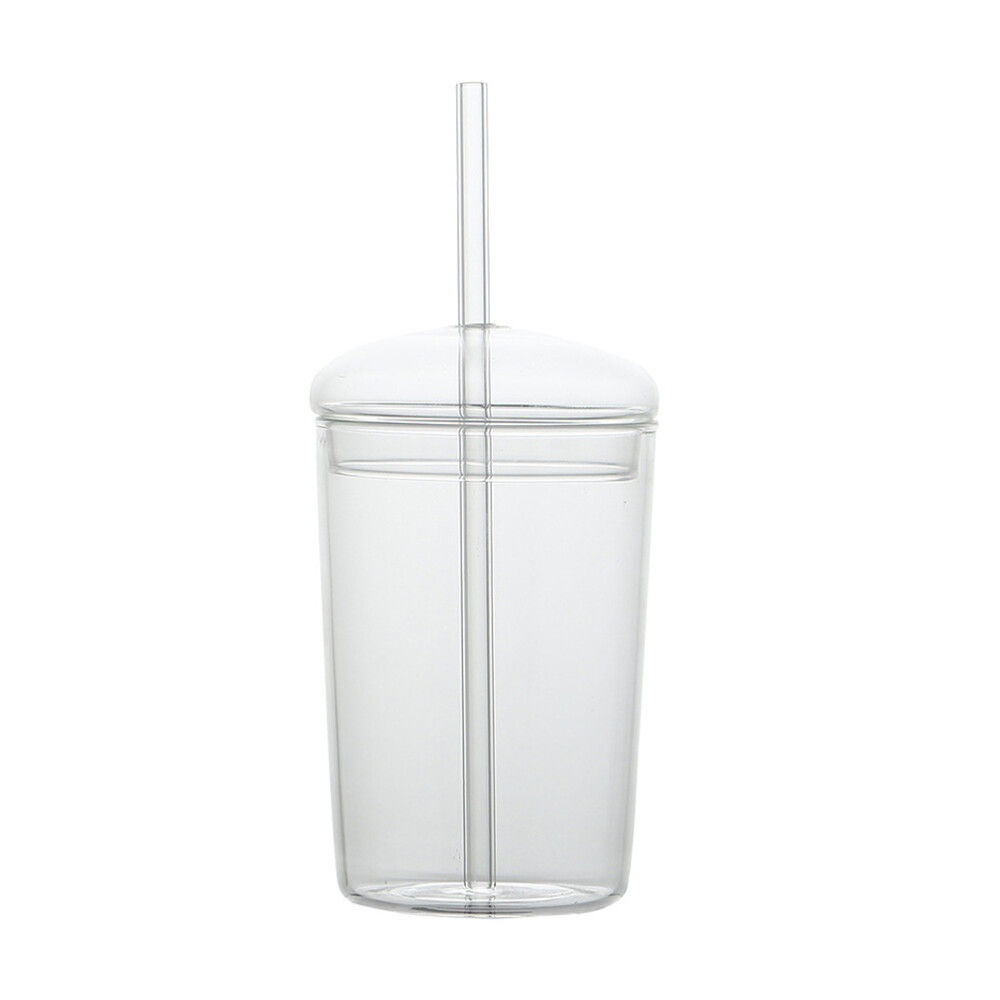 Glass Sippy Cup Tea Mug Insulated Water Bottles Coffee Cups Smoothie Straws