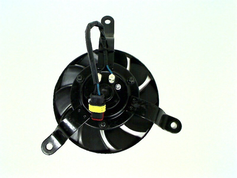 Foto 1 di 4