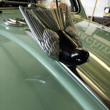 Vogel Talisman Motorhaube Emblem VW Käfer Kapuze Talisman Schwarz Chrom AAC156