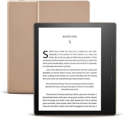 Amazon Kindle Oasis 10th Gen Waterproof 32GB WiFi eReader Champagne Gold