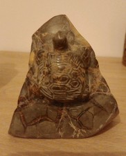 Turtle Carving In Stone