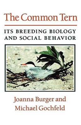 The Common Tern: Its Breeding Biology and Social Behavior by Joanna Burger: New