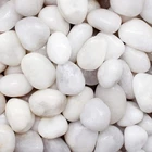 White Decorative Pebbles Polished Garden Stones for Pots Borders Rockery Paths