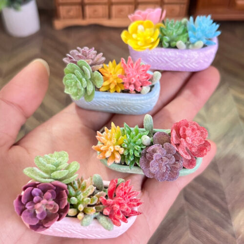1/6 Scale Dollhouse Miniature Ceramic Pots Succulent Garden Plants Accessories - Picture 1 of 14