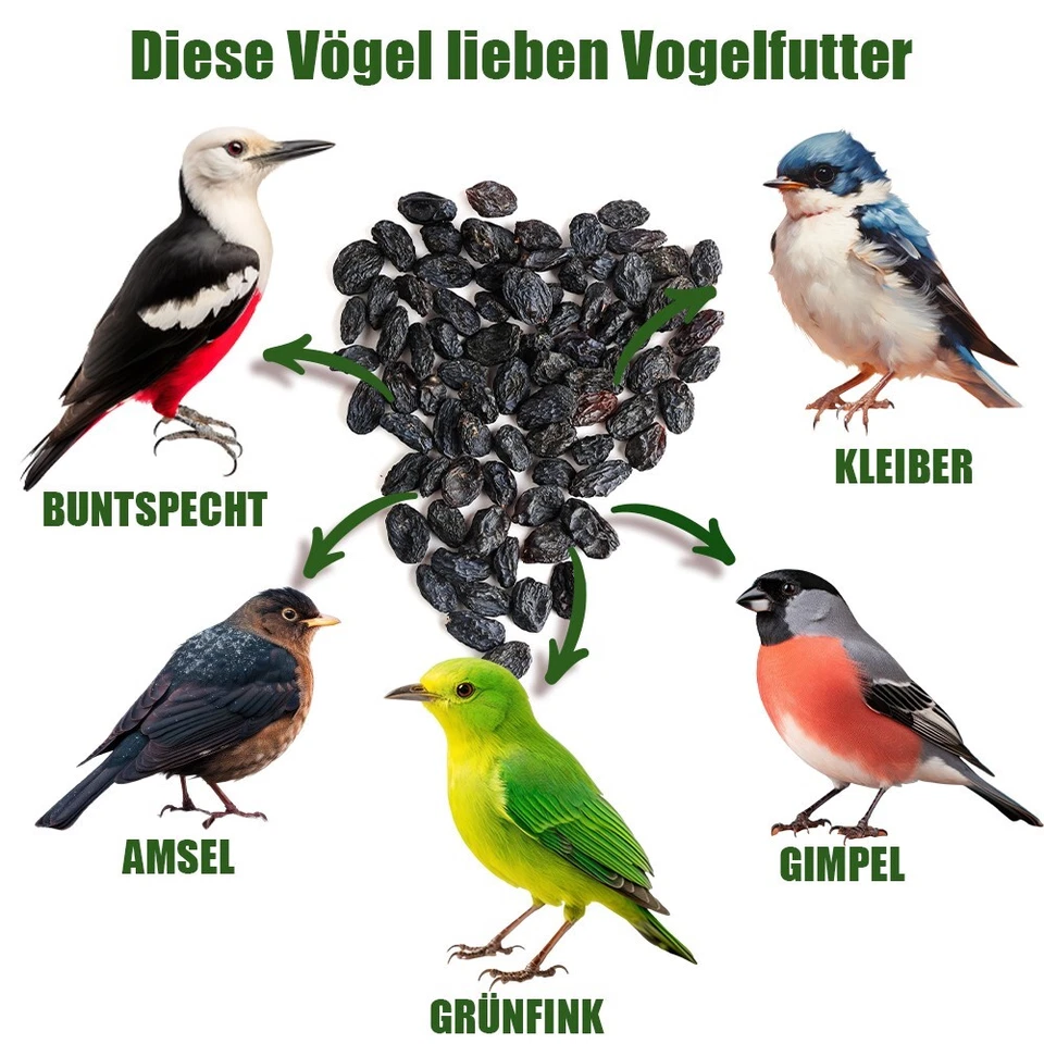 20kg Futterrosinen Vogel Vogelfutter Wildvögelfutter Futterzwecke Rosinen - Bild 2 von 4