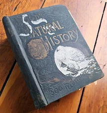 Rare Wood's Natural History Mammalia 500 Illustrations Hardcover Book