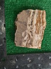 Rough Slab Banded Jasper 138g. 5/16" Thick Lapidary Cabbing #B-2 — photo 2