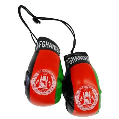 Uruguayan / Uruguay Flag Mini Boxing Gloves Ornament - New - View #5