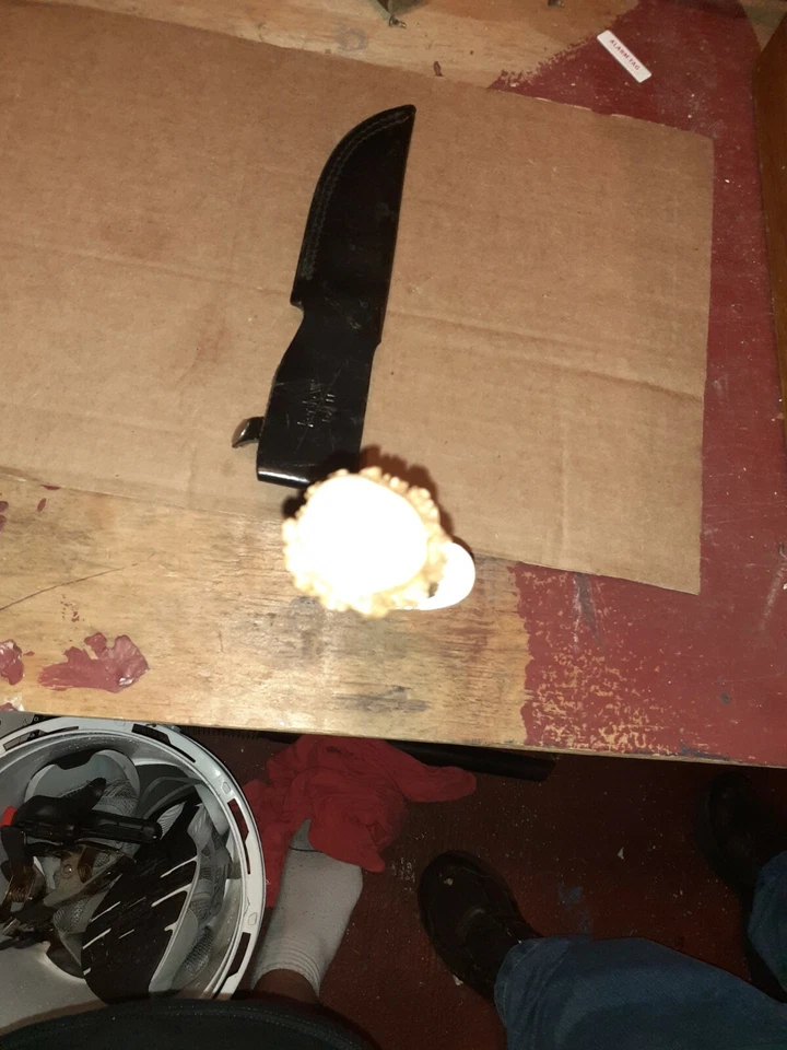 5 3/4 Inch Damascus steel Blade 10.5 Inches Overall Genuine Crown Stag ... - Image 3 of 4