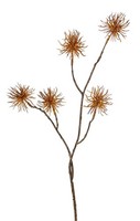 Artplants Deko Zweig Zaubernuss Numbat Mit BlüTen, Orange, 70Cm, Ø5Cm