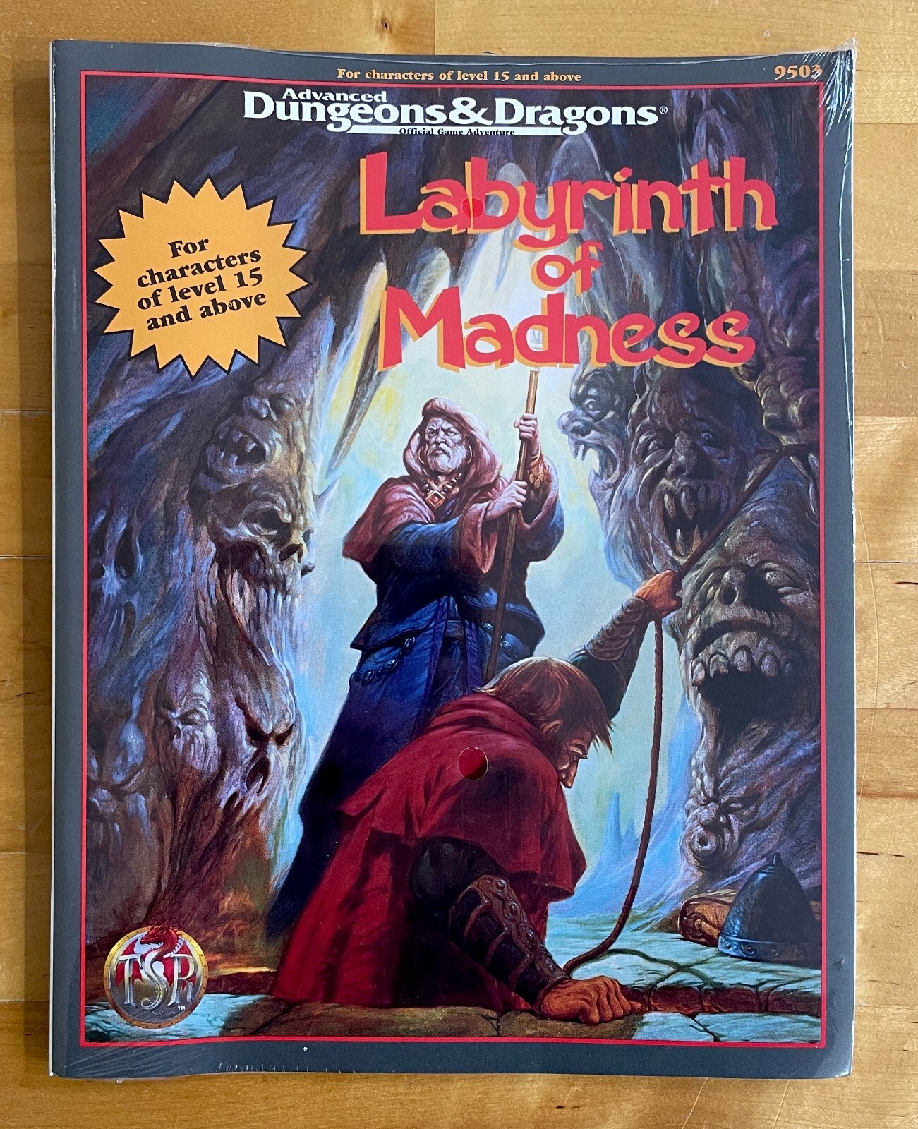Labyrinth of Madness AD&D édition originale 1995 état neuf scellé d'usine #9503
