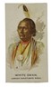 1888 N2 Allen & Ginter American Indian Chiefs White Swan Tob