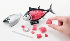 Buy one!! Bluefin tuna demolition puzzle