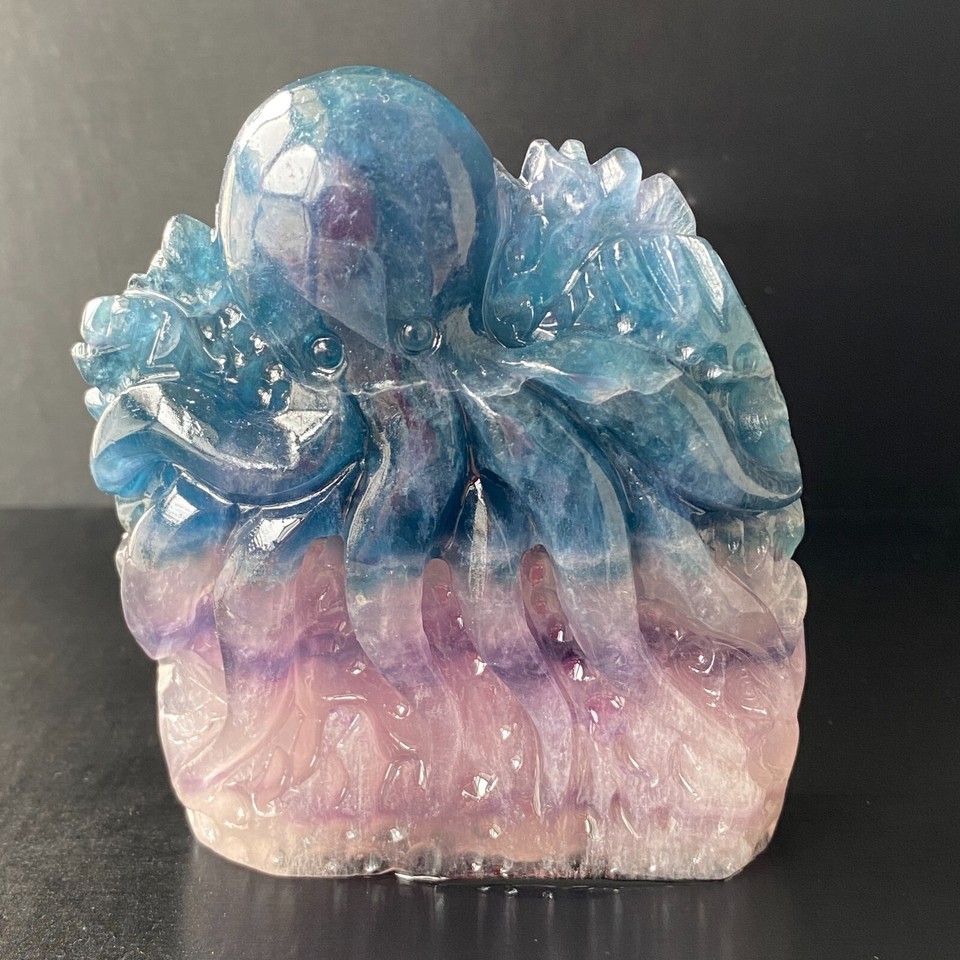 287g Natural Fluorite Quartz Carved Sea World Skull Crystal Reiki Gem