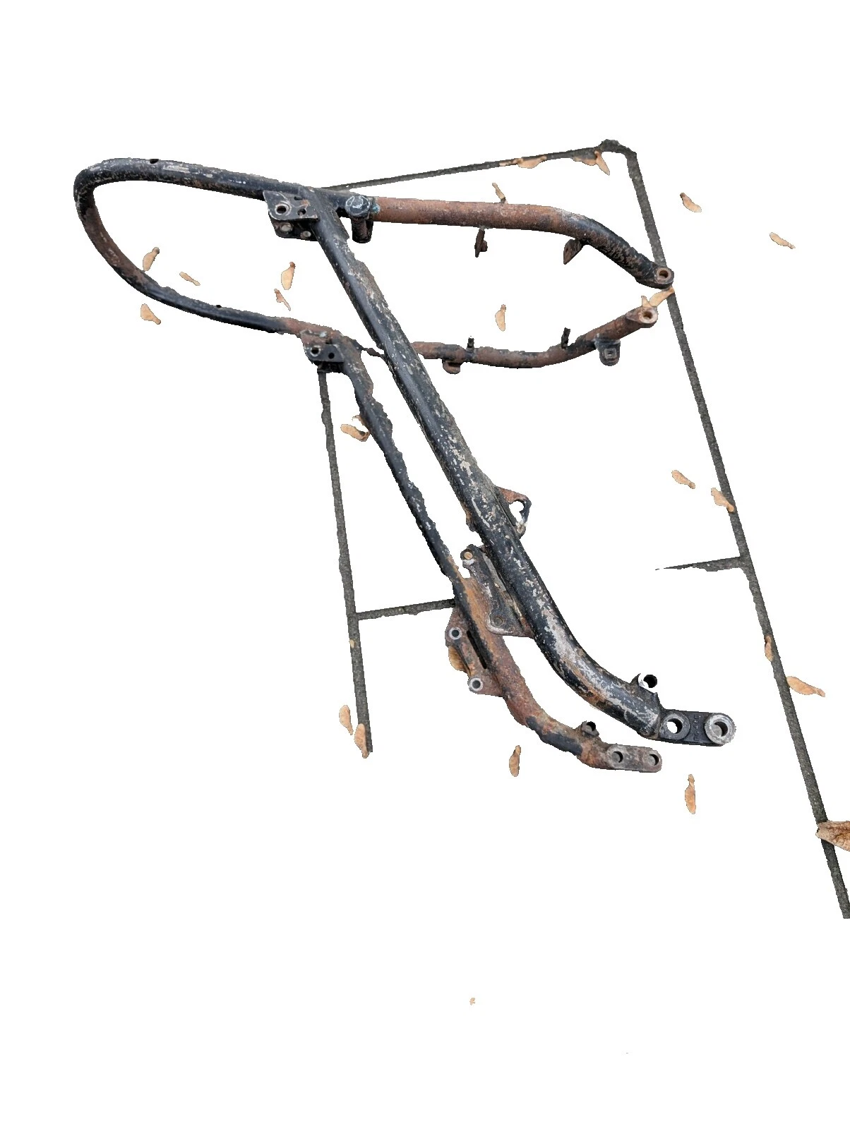 Triumph Motorcycle Frames