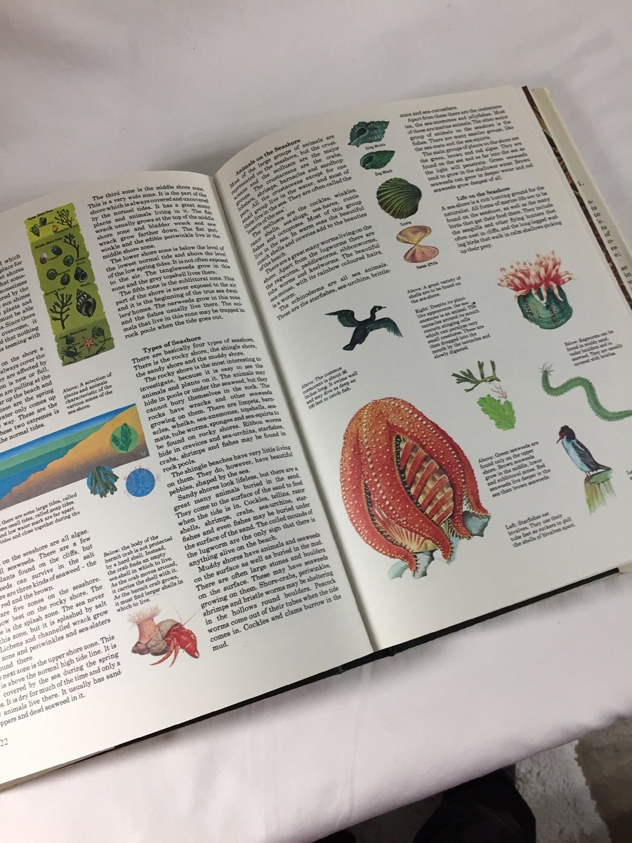 Vintage Purnell's Concise Encyclopedia In Colour Hardback Book