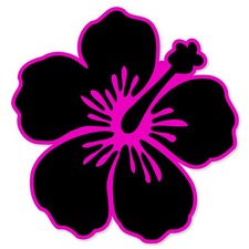 Hibiscus Flower Black And Pink Car Bumper Sticker Window Decal 4 X 4 Hibiscus Flower Black And Pink Car Bumper Sticker Window Decal 4 X 4