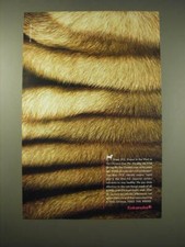Anuncio de comida para perros Eukanuba 2006 - Conoce conocido en Occidente como el Shar-Pei chino