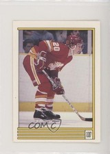 1989-90 O-Pee-Chee Album Stickers Gary Suter #100 fm0