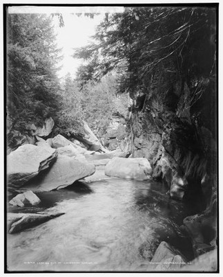 Looking out of Cavendish gorge Vt between 1900 and 1906 Old Photo